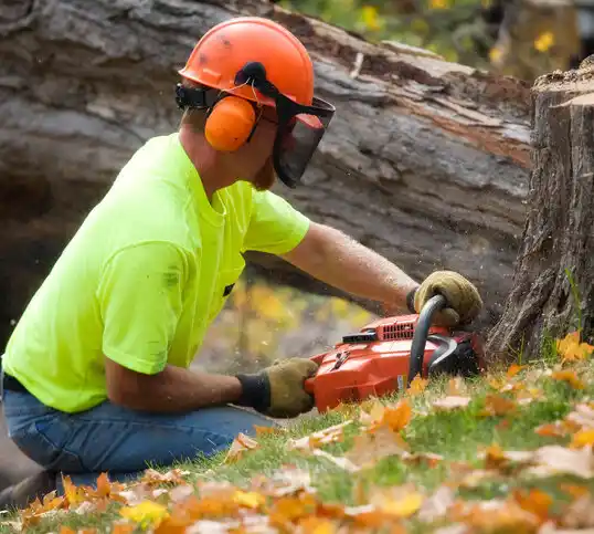 tree services Cokato